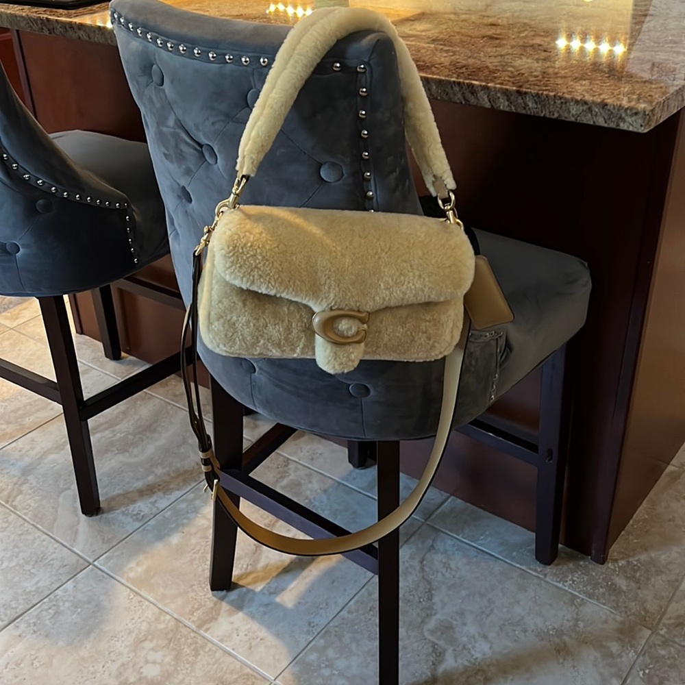 Coach Sherpa tabby